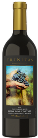 2022 Sandy Lane Vineyard Zinfandel