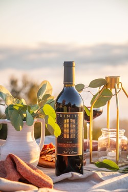 2015 Pilgrims of Hope, Celebrating The Jubilee Year